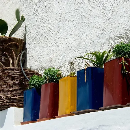 ペティニズ プレイス